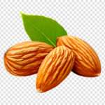mandorle
